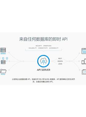 Cdata API Server v 23.x 从现有企业数