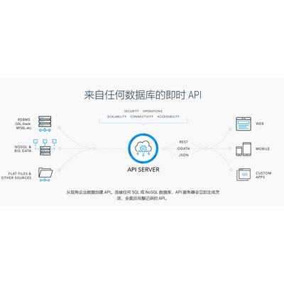 Cdata API Server v 23.x 从现有企业数