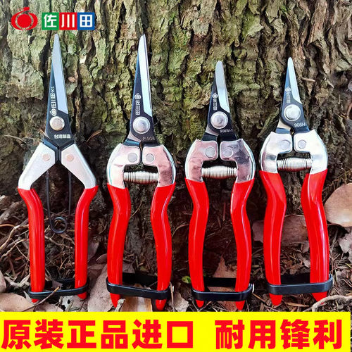 锋利耐用稀果剪佐川田