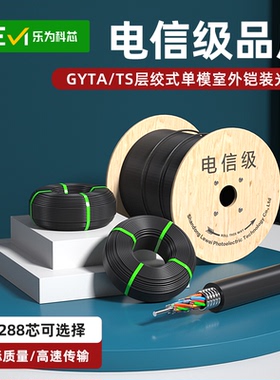 GYTA/GYTS国标单模室外铠装光缆四芯12芯6芯8芯24芯48芯72芯96芯144芯288芯野外光纤室外光纤地埋架空光缆