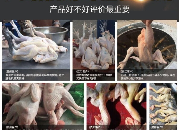 家禽脱毛机杀鸡机器全自动拔毛机鸡鸭鹅快速脱毛机不锈钢拔毛机