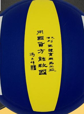 利生5号排球中考学生专用球VP51硬排女男通用充气训练初学者比赛