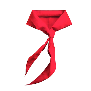 红领巾小学生纯棉抗皱专用大码初中生儿童加厚小学小号红邻巾中学生全棉少先队大号队员一年级1米2通用大棉布