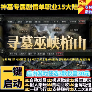 传奇单机版寻墓鬼吹灯之神墓双门派剧情单职业假人gm后台微端联机