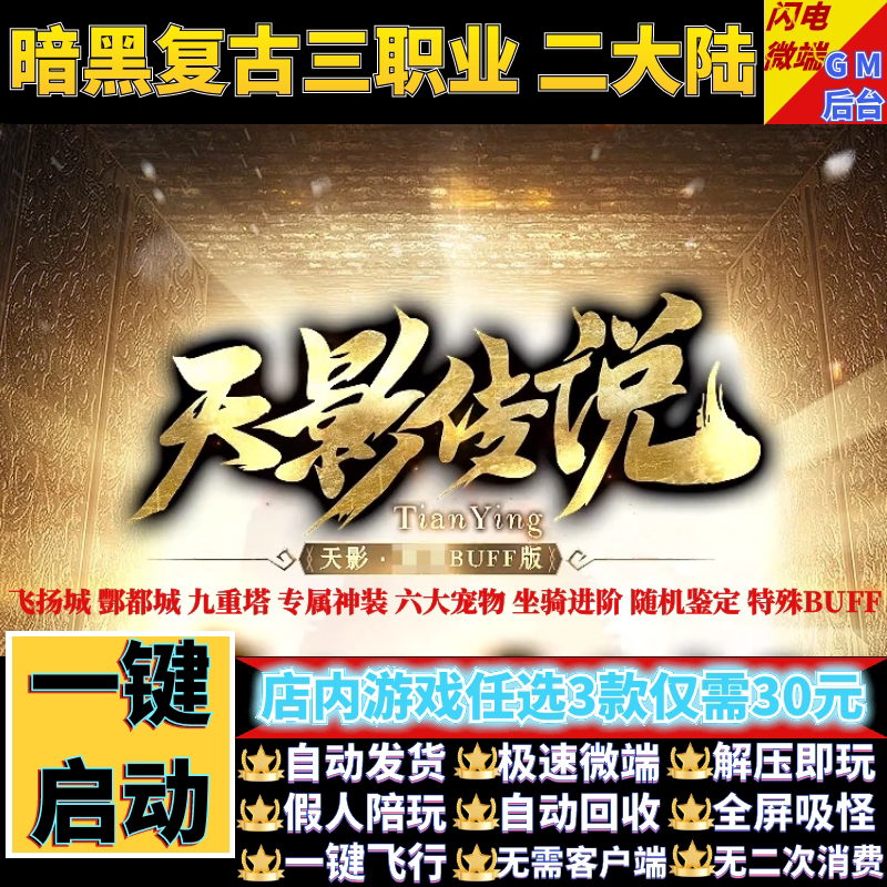 传奇单机电脑版天影传说暗黑复古专属三职业宠假人gm后台微端联机