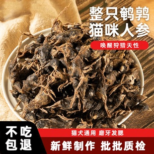 鹌鹑冻干猫零食磨牙洁齿增肥发腮猫咪零食宠物营养拌猫粮狗狗零食