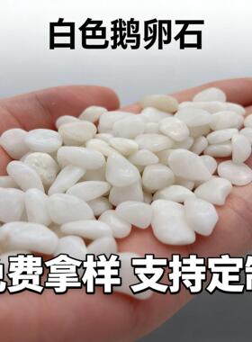 厂家白色抛光鹅卵石 挺远造景铺路 白色石子景观石多肉铺面石