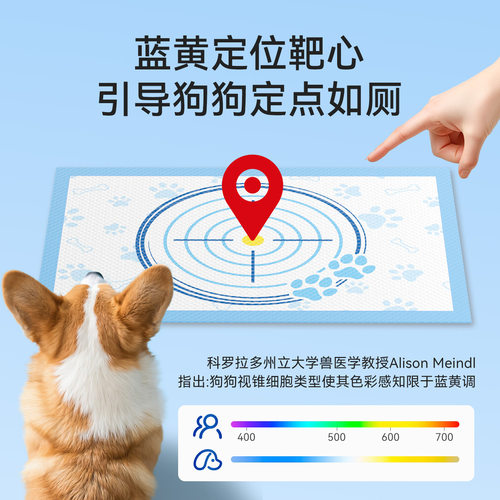 宠物靶心尿片一次性加厚