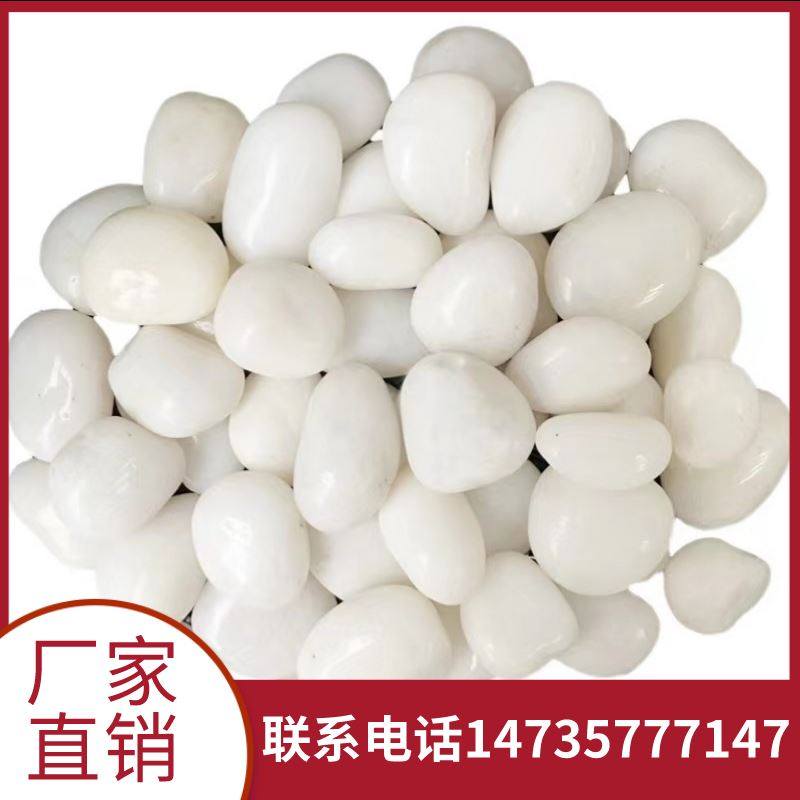 天然白石子小石头原石白色鹅卵砾石水洗磨石子枯山水造景庭院铺