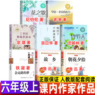 社花之歌纪伯伦草原北京 高等教育出版 春节老舍细雨下点碎落花声 梦六年级课外书铁凝著散文作品集课内作家全套小学生正版 会走路