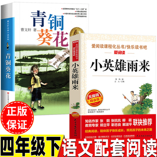 小英雄雨来管桦著四年级下册必读课外书民主与建设出版社青铜葵花曹文轩著江苏少年儿童出版社人民教育出版社人教版语文配套阅读