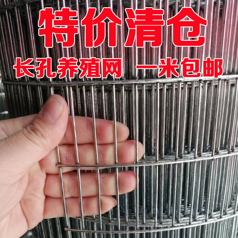 镀锌铁丝b围栏网片长孔鸽子笼铁网自制鸽鸟兔笼钢丝网养殖网格