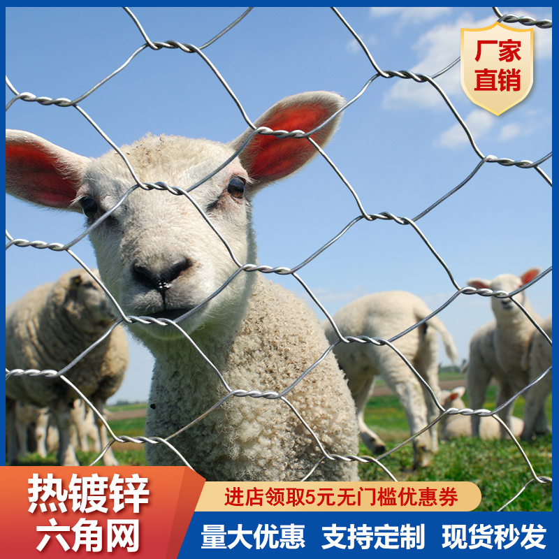 镀锌铁丝网拧花网养殖围栏圈x牛羊猪防护网钢丝网隔离网婚庆装饰