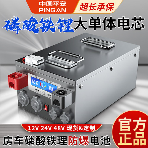 【官方正品】磷酸铁锂电池