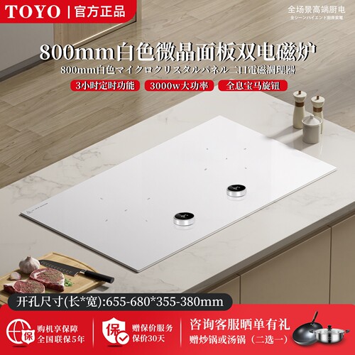 TOYO東洋嵌入式家用二合一大功率