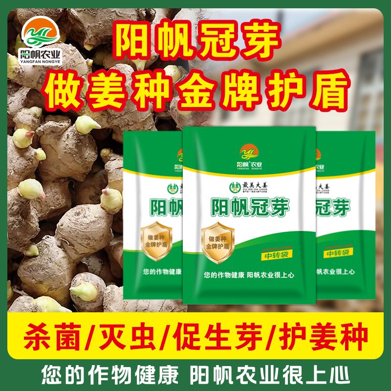 阳帆冠芽杀菌灭虫姜种喷姜种姜沟抗重茬促壮芽护姜种防虫