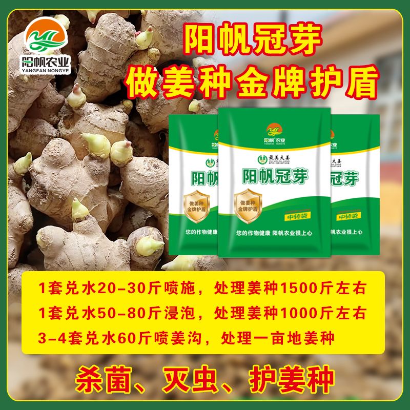 阳帆冠芽姜种喷姜种杀菌防虫灭虫重茬姜沟促壮芽护通用型快速专用