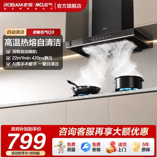 大吸力歐式 政府補(bǔ)貼 老板名氣油煙機(jī)頂吸式 廚房油機(jī)自動(dòng)清洗Q3