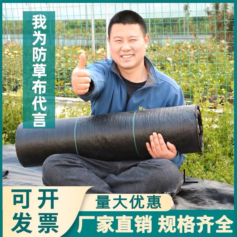 防草布厂家直销除草布农用地布地膜果园果树耐用环保防长草地钉