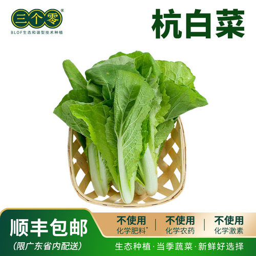 【百果园】三个零杭白菜3斤云南叶菜 当季蔬菜生态种植 顺丰包邮