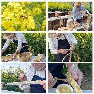 2025品年头茬油浆菜2浆蜂IVP王乳纯正天然蜂皇正新鲜蜂乳500g 买
