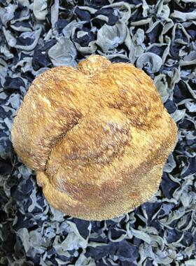 猴头菇东北野MFA产生猴头蘑特猴头菌蘑菇干 货干25价0克特1斤包邮