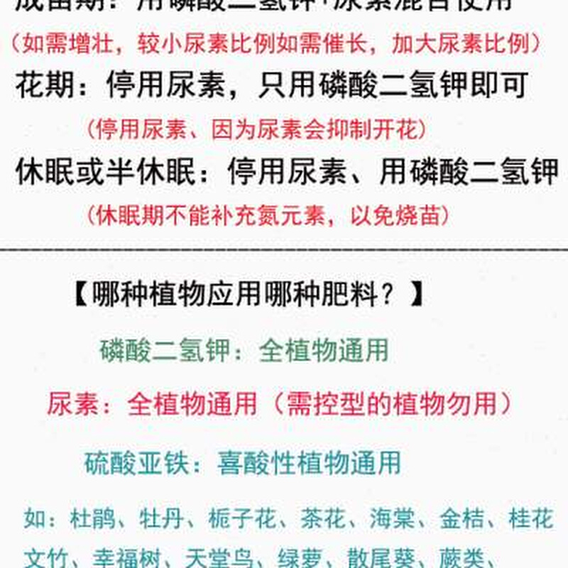 磷酸二氢钾花肥叶面肥家用开花植物通用型磷钾肥促花水溶复合肥料