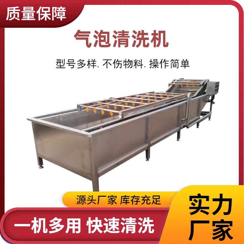 果蔬气泡清洗机桃梨李杨梅秋葵