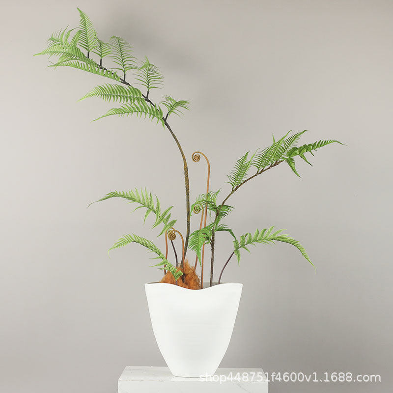 新中式简约现代仿真蕨草金毛狗蕨绿植盆景玄关吧台茶几售楼部摆件