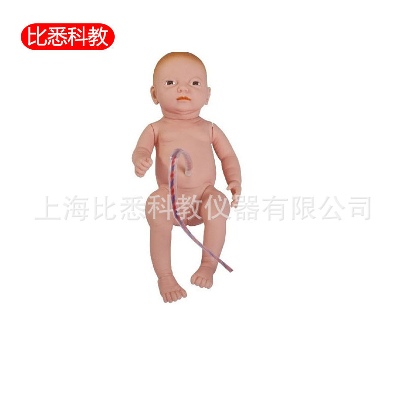高级新生儿脐带护理教学模型