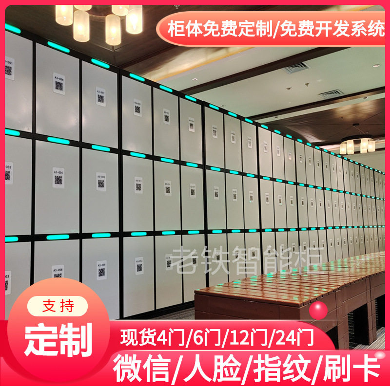 冷轧板指纹识别联网智能储物柜