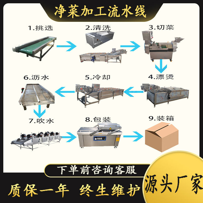 净菜加工全套高压喷淋气泡清洗机