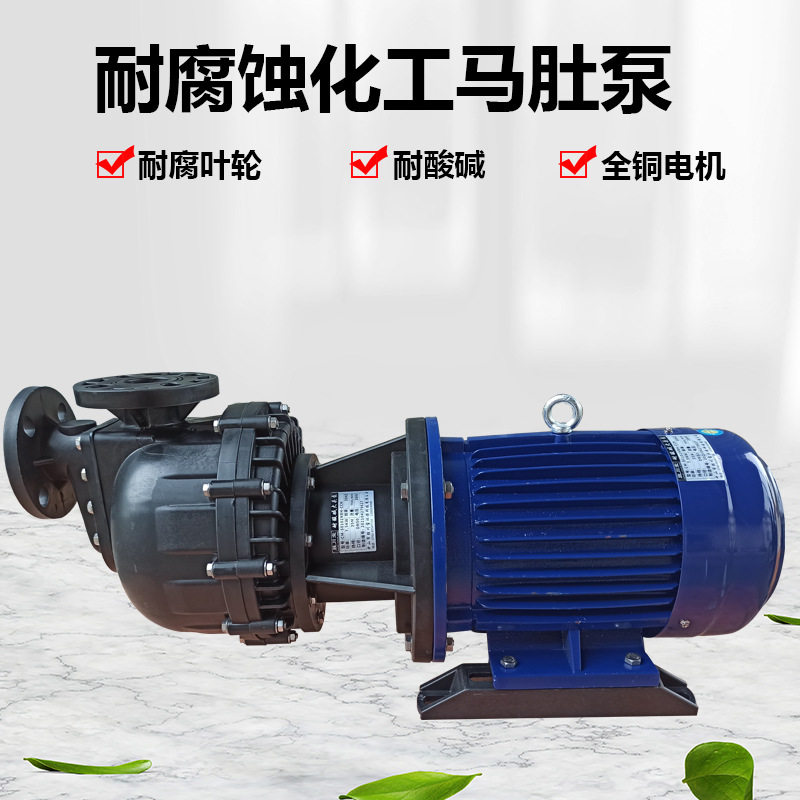 胜川宝7.5KW防腐自吸泵