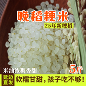 延边正宗粳米2.5kg 东北大米晚稻粳米一级新米煮粥梗米熬米油 包邮