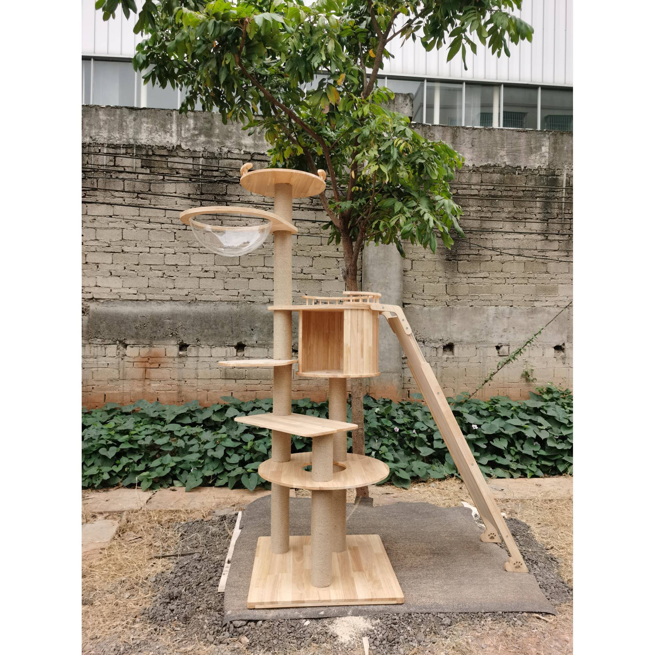 新款实木四季通用猫别萌墅猫窝猫树一体猫爬架太空舱子猫咪架猫伊