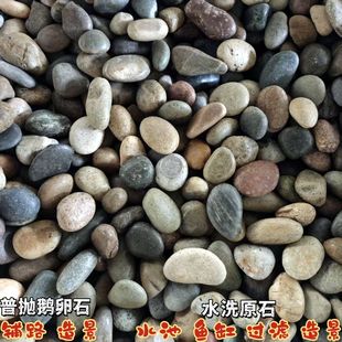 1000公斤纯天然鹅卵石原石五彩色小石头园林庭院鱼池水泥工地铺路