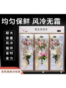 冷柜 鲜花保湿 保鲜柜冷藏展示柜花店花房保鲜柜双门三门冰箱立式