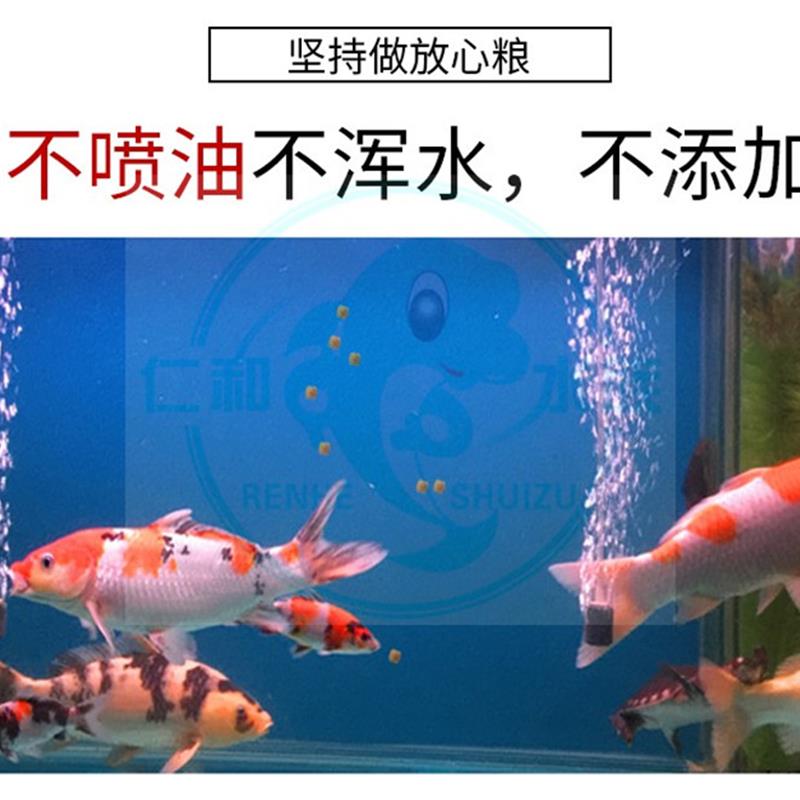 金钻赛级锦鲤饲料鱼粮食冷水颗粒增红艳诱色观赏大型血鹦鹉鱼包邮