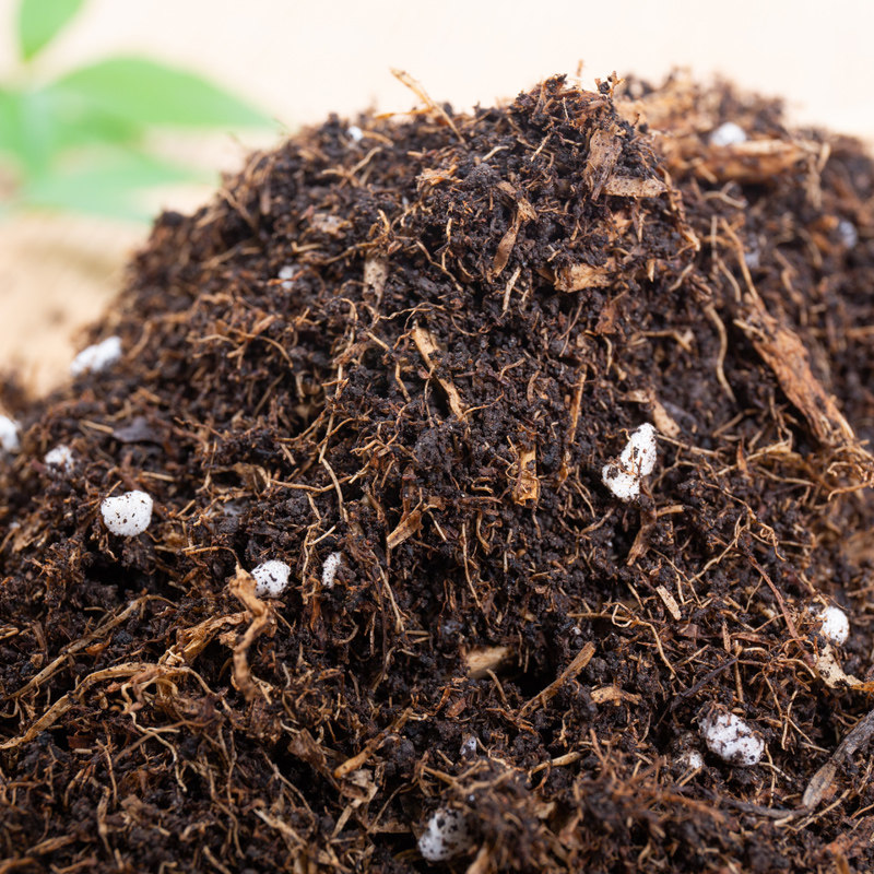 包邮50L升 优质版营养土腐殖土养花通用型花土月季土绣球泥土花泥