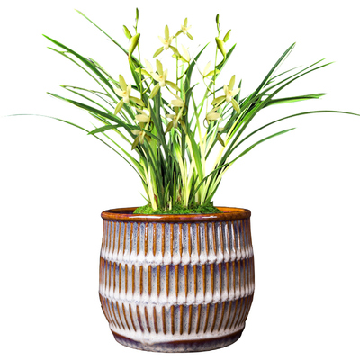 花盆陶瓷多肉老桩造景桌面中国风专用植物圆柱形盆景盆个性兰花草