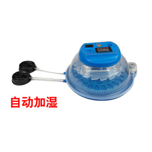 鸟鹦鹉孵化器小型家用孵化箱机玄凤牡丹鹌鹑鸽子虎皮智能恒温专用