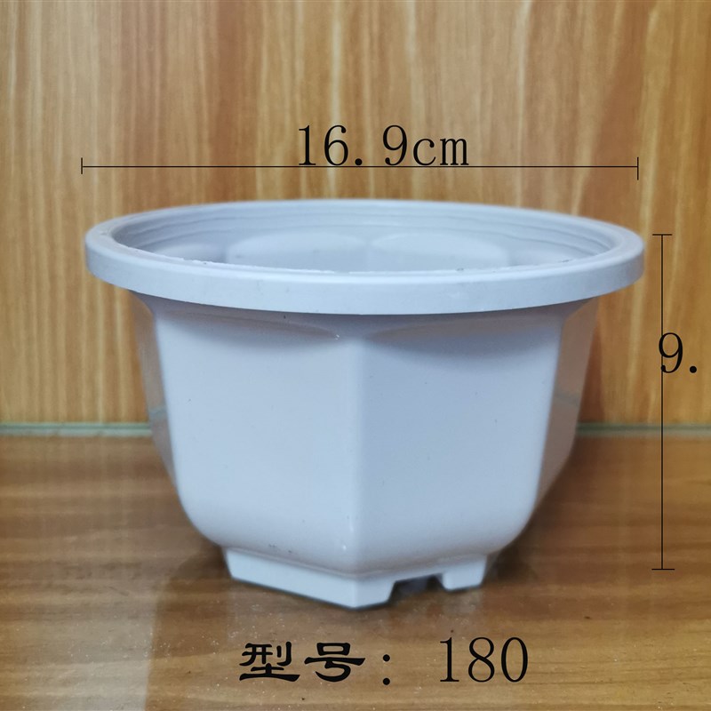 塑料花盆迷你八角多肉情人泪佛珠吊篮盆白色咖啡色悬挂壁挂