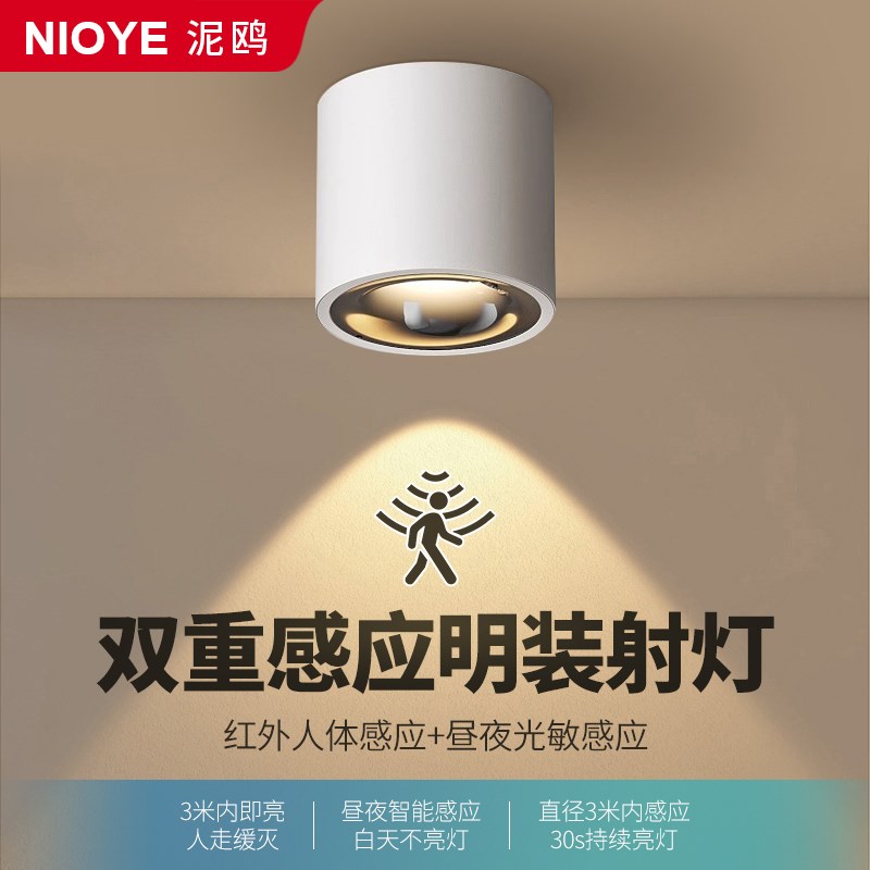 感应射灯明装入户门玄关走廊过道楼道防眩筒灯夜间自动人体感应灯