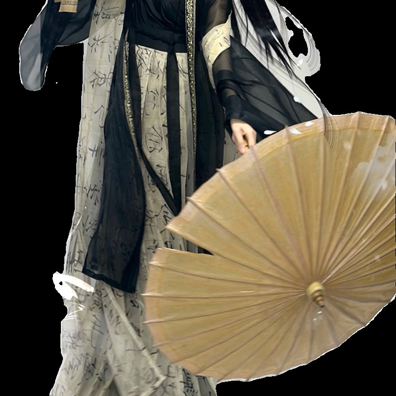 柳汀居汉服 云衫 大袖衫千字文书法裙褶裙吊带日常国风仙气武侠风