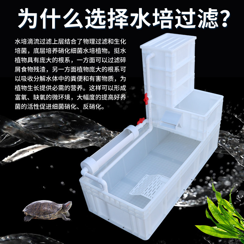 家用养乌龟缸生态缸周转箱大型过滤器低水位塑料免换水专用饲养箱