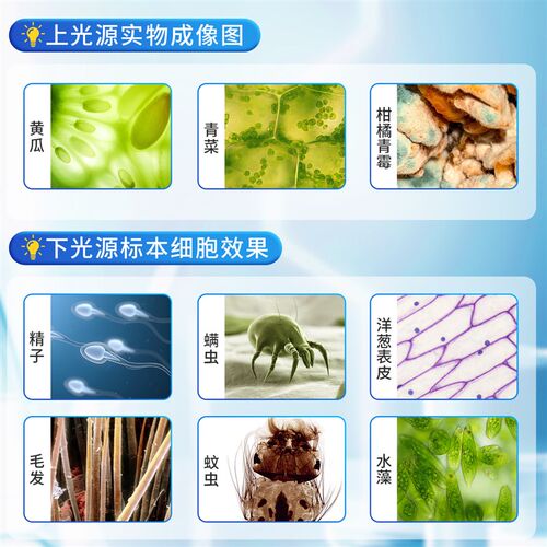 初中生双目显微镜中小学生专用科学实验专业级高倍光学显微镜儿童