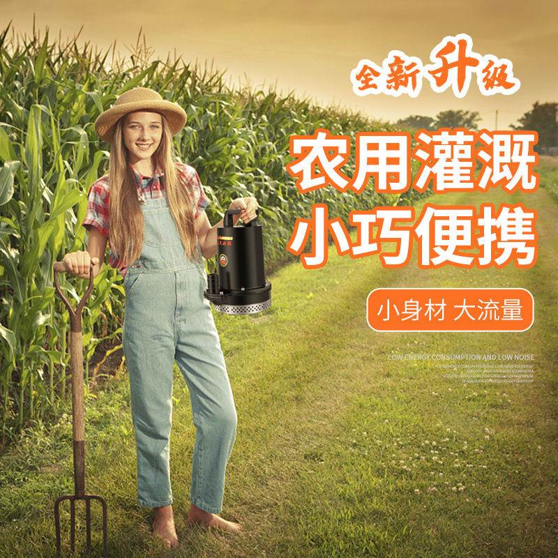 上海人民12v24v48v60v直流潜水泵抽水泵家用农用刷车电动车高扬程