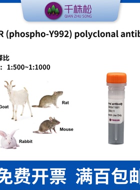 一抗，EGFR (phospho-Y992) polyclonal antibody  WB IHC IF IP
