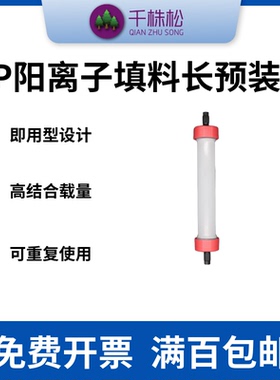 FPLC中压层析柱蛋白纯化柱SP阳离子交换填料预装柱