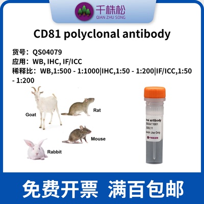 CD81 polyclonal antibody高浓度 1mg/ml